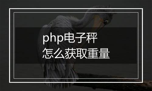 php电子秤怎么获取重量