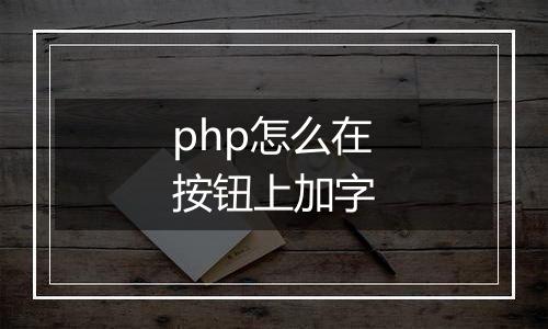 php怎么在按钮上加字