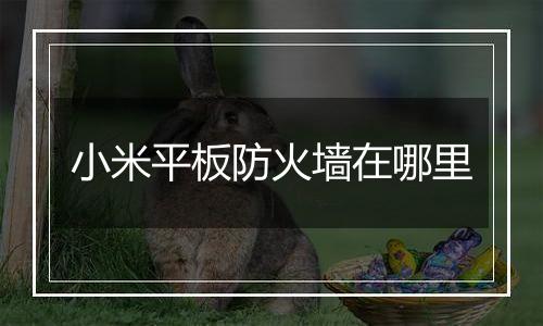 小米平板防火墙在哪里