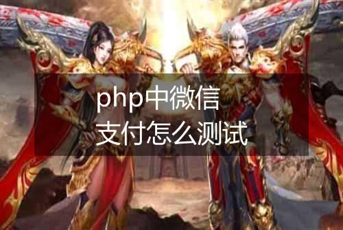 php中微信支付怎么测试