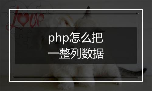 php怎么把一整列数据