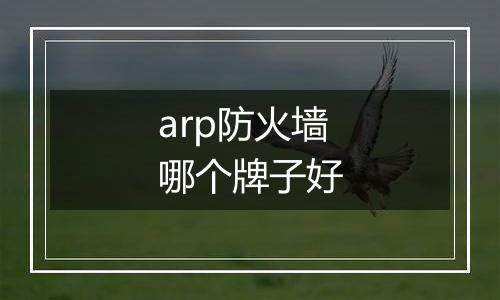 arp防火墙哪个牌子好