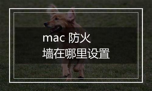 mac 防火墙在哪里设置