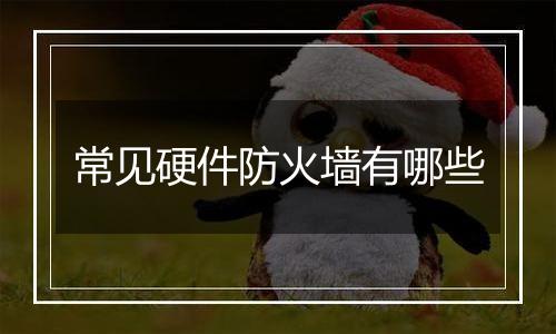 常见硬件防火墙有哪些