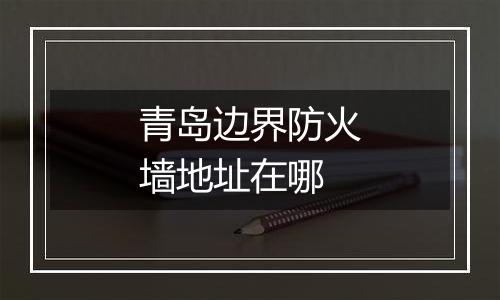 青岛边界防火墙地址在哪