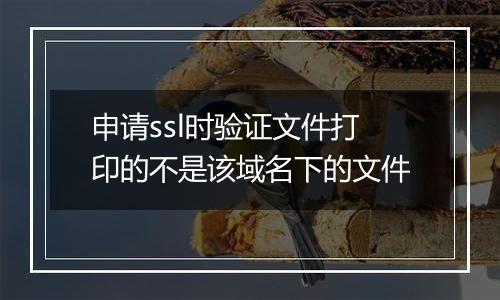 申请ssl时验证文件打印的不是该域名下的文件
