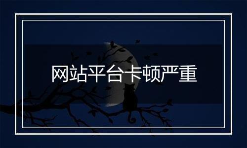 网站平台卡顿严重