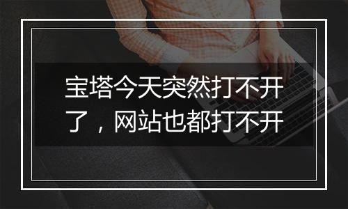 宝塔今天突然打不开了,网站也都打不开