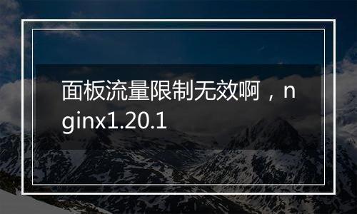 面板流量限制无效啊,nginx1.20.1