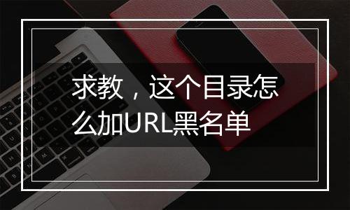 求教,这个目录怎么加URL黑名单