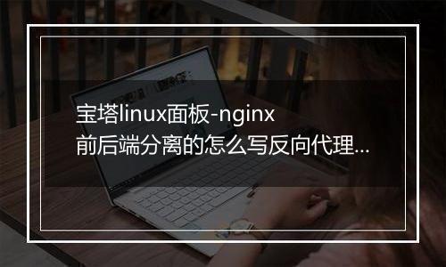 宝塔linux面板-nginx前后端分离的怎么写反向代理?