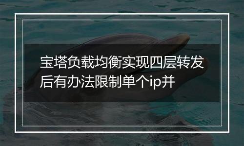 宝塔负载均衡实现四层转发后有办法限制单个ip并