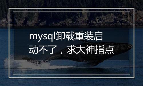 mysql卸载重装启动不了，求大神指点