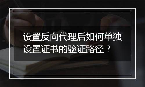 设置反向代理后如何单独设置证书的验证路径?