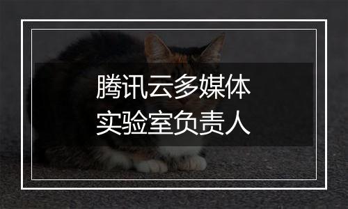 腾讯云多媒体实验室负责人