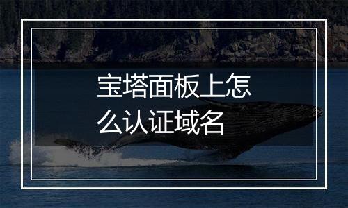宝塔面板上怎么认证域名