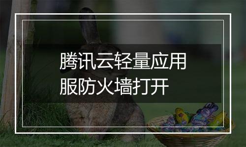 腾讯云轻量应用服防火墙打开