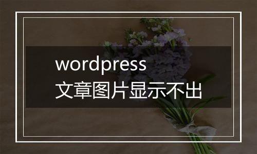 wordpress文章图片显示不出