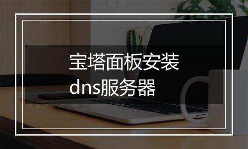 宝塔面板安装dns服务器