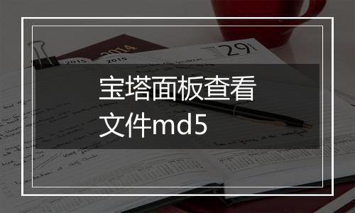 宝塔面板查看文件md5