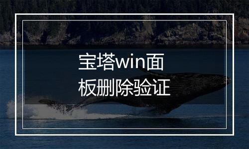 宝塔win面板删除验证
