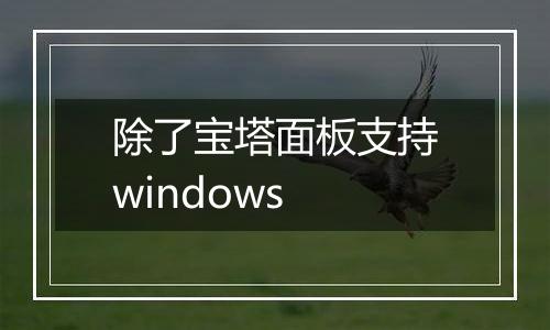 除了宝塔面板支持windows