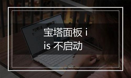 宝塔面板 iis 不启动