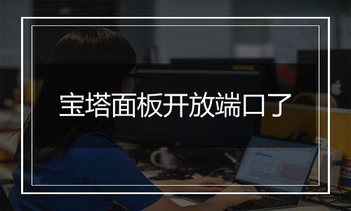 宝塔面板开放端口了