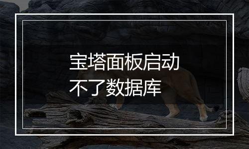 宝塔面板启动不了数据库
