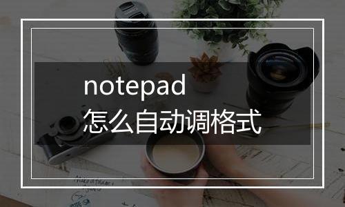 notepad怎么自动调格式