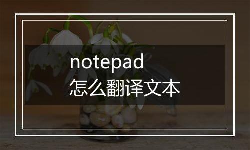notepad怎么翻译文本