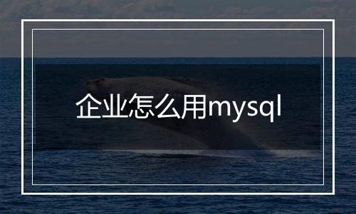 企业怎么用mysql
