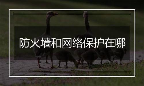 防火墙和网络保护在哪