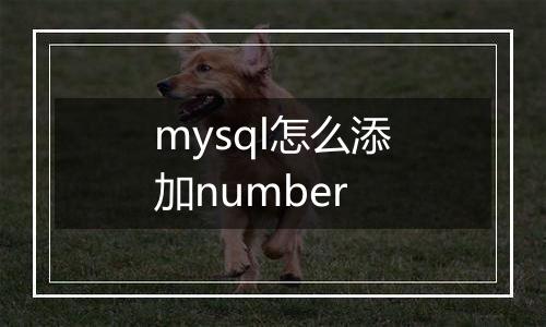 mysql怎么添加number
