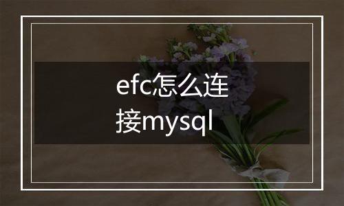 efc怎么连接mysql