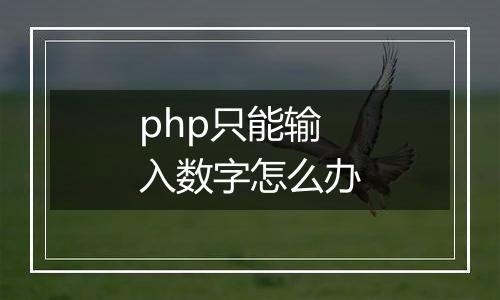 php只能输入数字怎么办