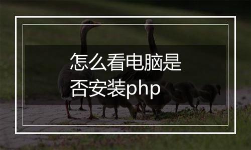 怎么看电脑是否安装php