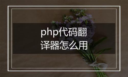 php代码翻译器怎么用