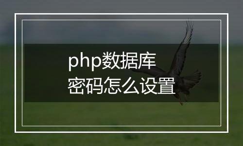 php数据库密码怎么设置