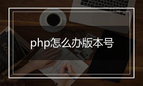 php怎么办版本号