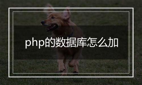 php的数据库怎么加