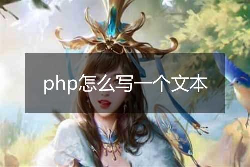 php怎么写一个文本