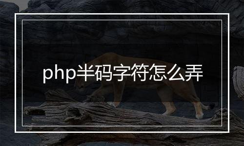 php半码字符怎么弄
