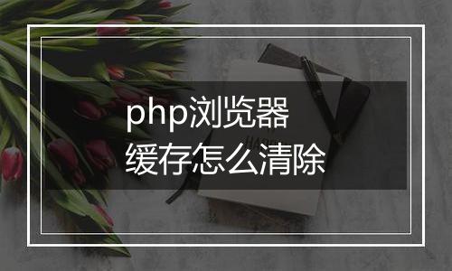 php浏览器缓存怎么清除