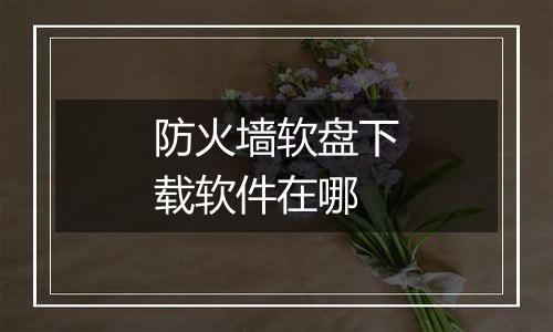 防火墙软盘下载软件在哪