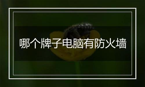 哪个牌子电脑有防火墙