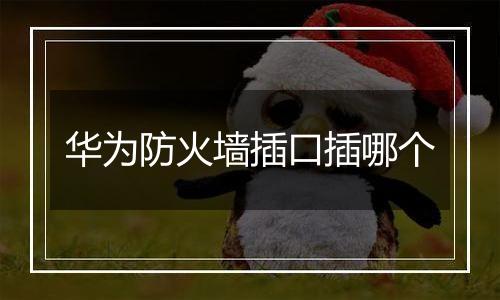 华为防火墙插口插哪个