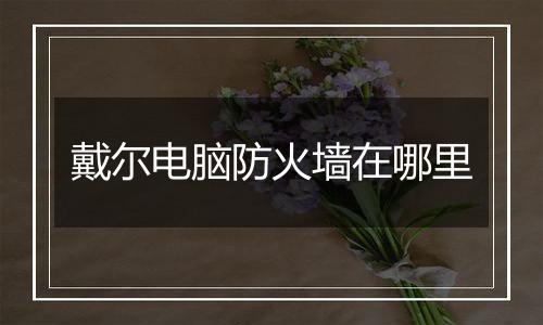 戴尔电脑防火墙在哪里