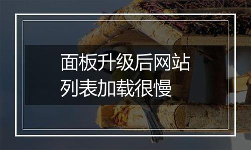 面板升级后网站列表加载很慢