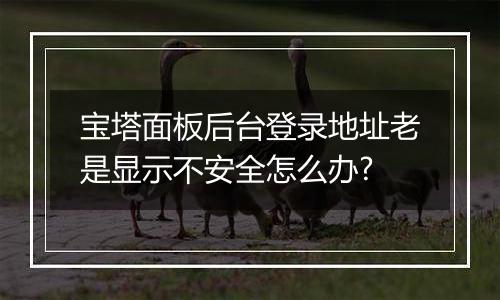 宝塔面板后台登录地址老是显示不安全怎么办?